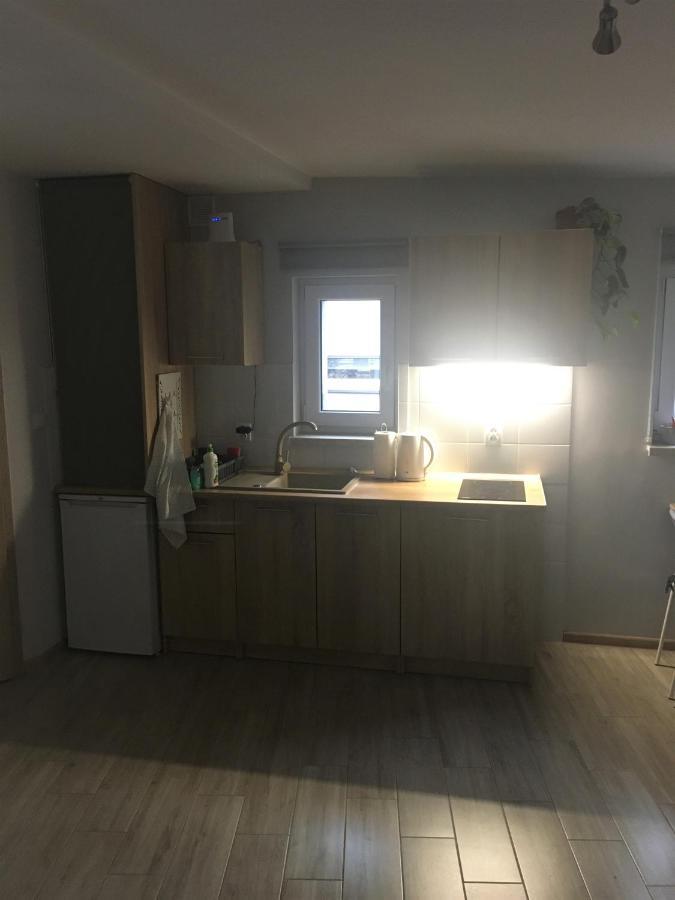 "Na Wesolej" Apartment Tarnowskie Gory Exterior photo
